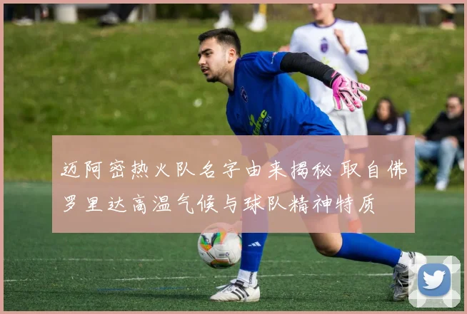 迈阿密热火队名字由来揭秘 取自佛罗里达高温气候与球队精神特质