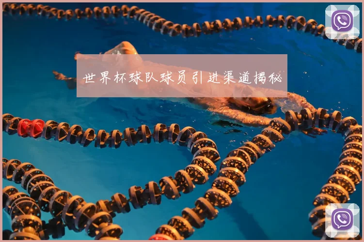 世界杯球队球员引进渠道揭秘
