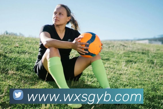 hth网页版官方入口服务体系